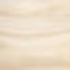 Accoya
