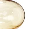 Amber Transparent