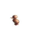 Duckling