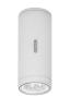 White RAL 9002