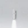 White RAL 9002