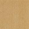 Beech Lacquered