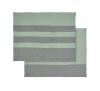 Desert Sage / Agave Green