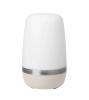 Moonbeam (Cream)