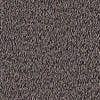 Boucle, Fossil 34