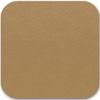Cardboard