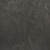 Coffee Waste Black