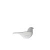 Sparrow