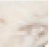 Estremoz Marble