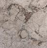 Beige Marble (Honed)