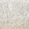 Ivory 103