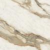Marmi Ceramic Matt Borghini Calacatta