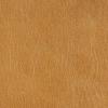 Camel Leather