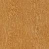 Camel Leather