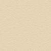 Light Ivory RAL 1015
