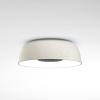 White (RAL 1013)