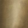 Matt Bronze