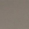 Matt Taupe