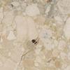 Sand Kunis Breccia Marble