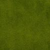 Moss