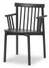 Black Stained Ash