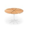 Teak