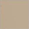 Grey Beige RAL 1019