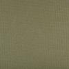 Panama Alga 3667