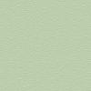 Pastel Green RAL 6019