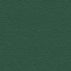 Pine Green RAL 6028