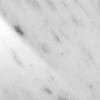 Polished White Carrara