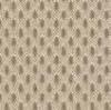 Beige 6