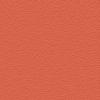 Salmon Orange RAL 1012