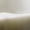 White/Bronze
