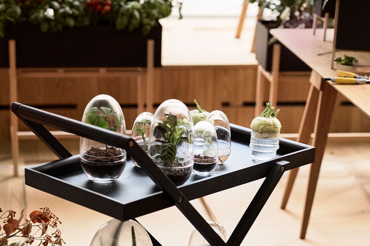 plants-2