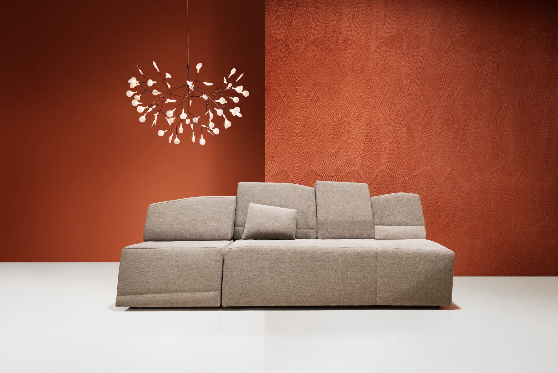 Heracleum_2_